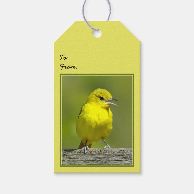 Étiquettes-cadeau Orchard Oriole - Photo originale (Devant)