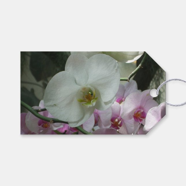 Étiquettes-cadeau Orchidées blanches et violettes (Devant (Horizontal))