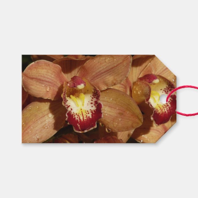Étiquettes-cadeau Orchidées de Pêche avec Raindrops Floral (Devant (Horizontal))