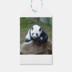 Étiquettes-cadeau Ours panda chinois