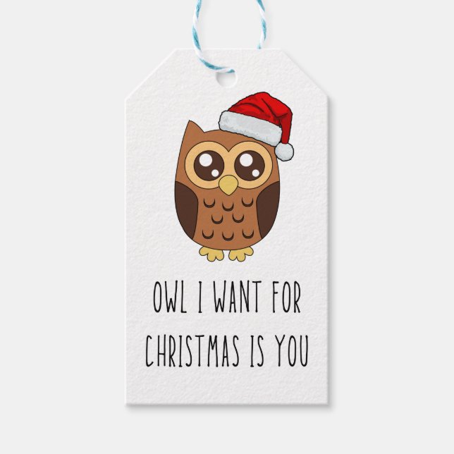 Étiquettes-cadeau Owl I want for Christmas Is You - Jote Owl Design (Devant)