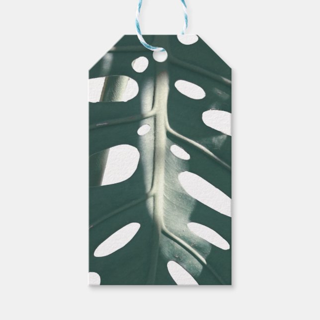 Étiquettes-cadeau Pale Green Pastel Fromage Suisse Plante (Devant)