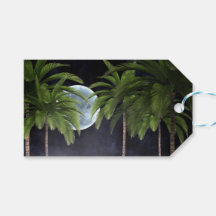 Palmiers contre la lune