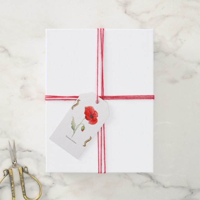 Étiquettes-cadeau Papaver rhoeas  (Avec de la ficelle)