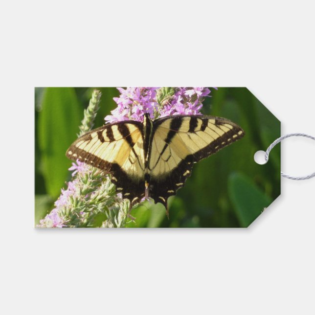 Étiquettes-cadeau Papillon à queue d'hirondelle sur des fleurs sauva (Devant (Horizontal))