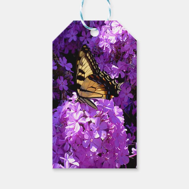 Étiquettes-cadeau Papillon et Phlox (Devant)