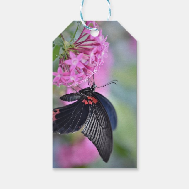 Étiquettes-cadeau Papillon sur fleur (Devant)