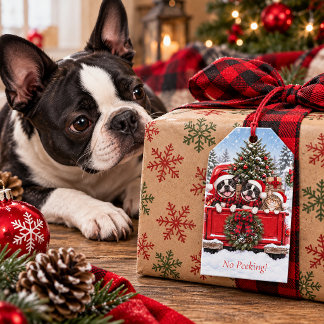 Étiquettes-cadeau Pas de tricherie ! Boston Terriers & Chat Noël rus