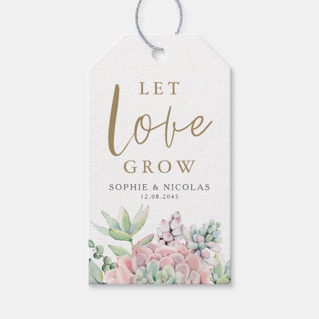 Étiquettes-cadeau Pastel Aquarelle Succulents laisser l'amour grandi (Devant)