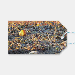 Étiquettes-cadeau Patch de citrouilles givré