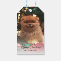 Pawlidays Chien Pet photo moderne
