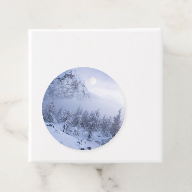 Étiquettes Cadeau Pays merveilleux d'hiver, brouillard, forêt d'épin (En situation)