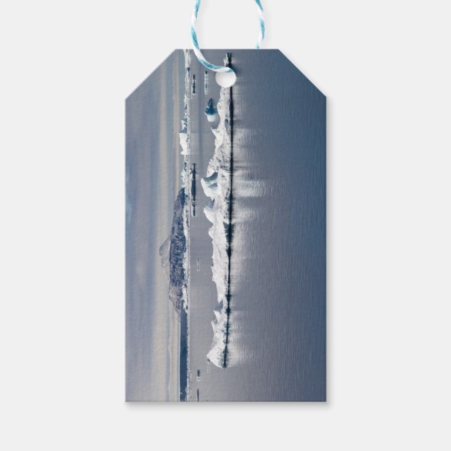 Étiquettes-cadeau Paysage antarctique (Devant)