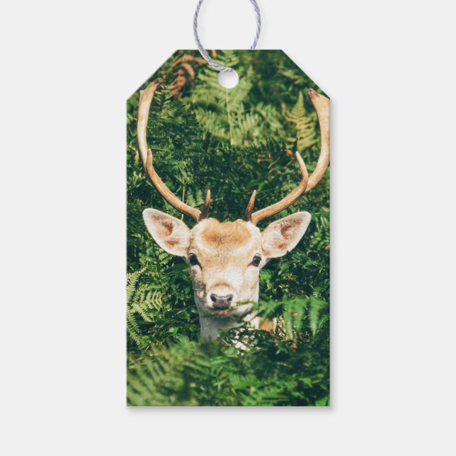 Étiquettes-cadeau Peek a Deer  (Devant)