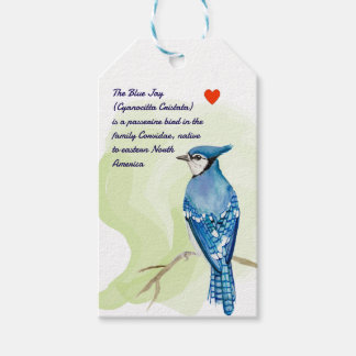 Étiquettes-cadeau peinture à l'aquarelle de jais bleu