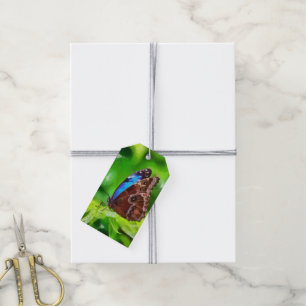 Étiquettes-cadeau Peinture à papillon