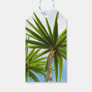 Étiquettes-cadeau Peinture Effet Photo de Feuilles de Palmier Yucca