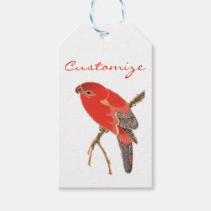 Étiquettes-cadeau Perroquet Rouge Tropical Thunder_Cove
