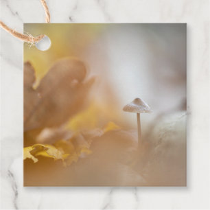 Étiquettes Cadeau Petite photo de la nature des champignons