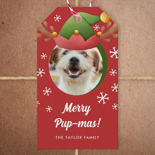 Étiquettes-cadeau Photo de chien avec Elf Reindeer Antler Casquette