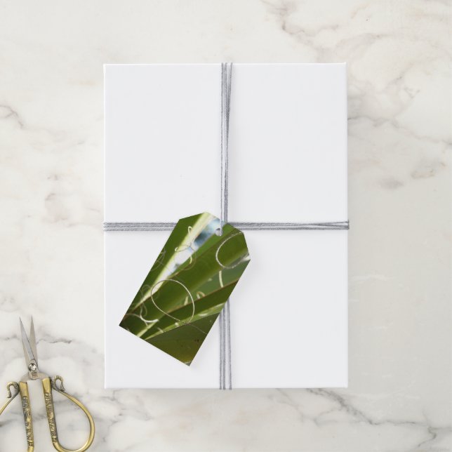 Étiquettes-cadeau Photographie de la nature verte Feuille du Yucca (Avec de la ficelle)