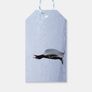 Étiquettes-cadeau Pingouin Gentoo