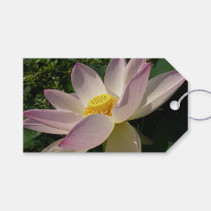 Étiquettes-cadeau Pink Lotus Flower III Summer Floral