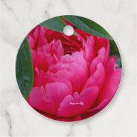 Pivoine Rose Timide