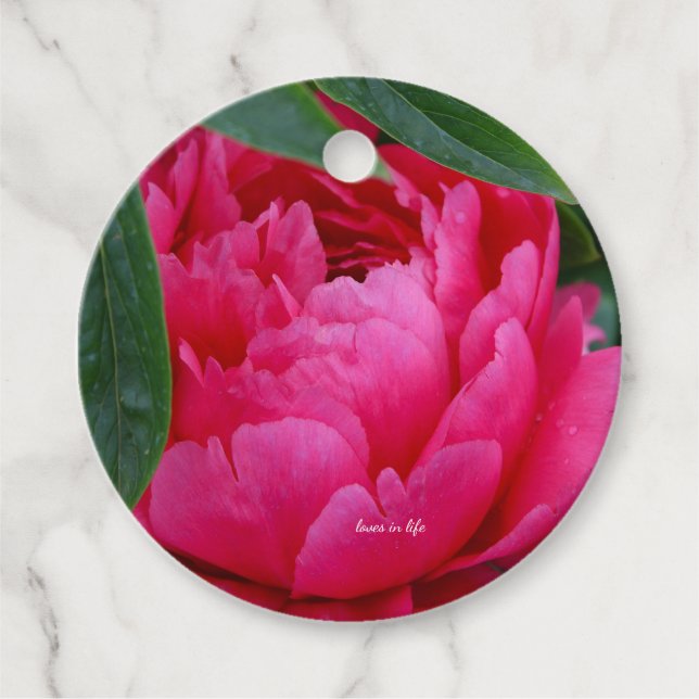 Étiquettes Cadeau Pivoine Rose Timide (Devant)