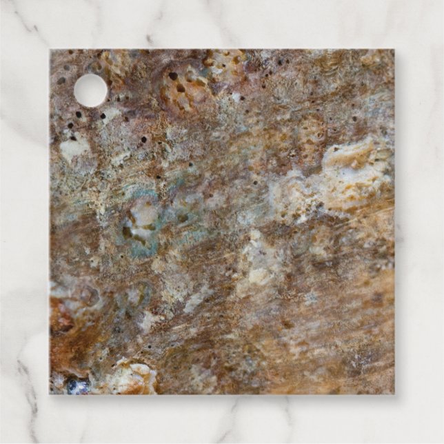 Étiquettes Cadeau Plage de roches naturelles et coquillages marins e (Devant)