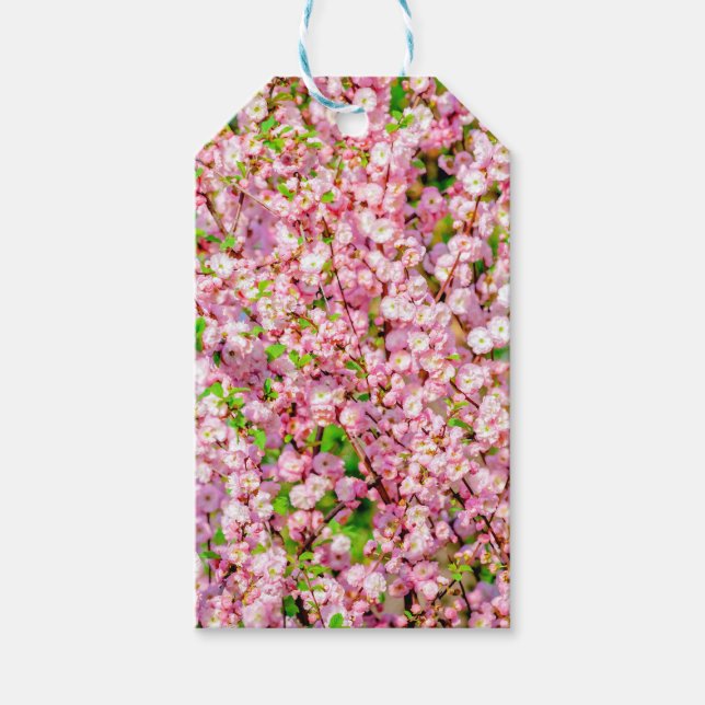 Étiquettes-cadeau Plum à fleurs (Devant)