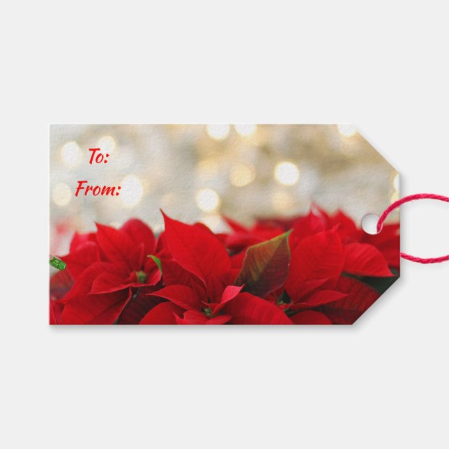 Étiquettes-cadeau Poinsettias (Devant (Horizontal))