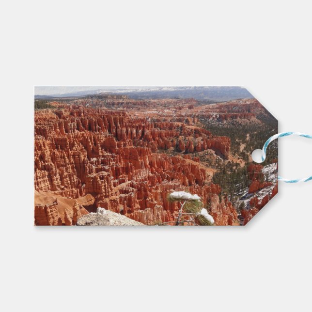 Étiquettes-cadeau Point d'inspiration à Bryce Canyon I (Devant (Horizontal))