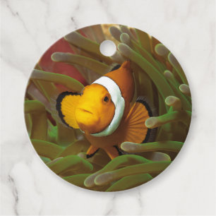 Étiquettes Cadeau Poisson clown en anémone vert. Coralreef Raja Ampa