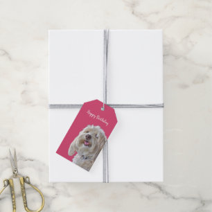 Étiquettes-cadeau Poodé Sur Rose