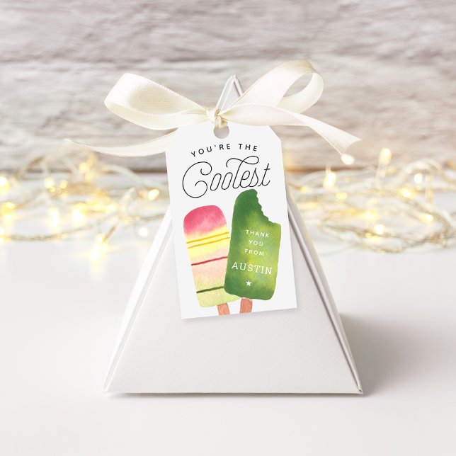 Étiquettes-cadeau Popsicle vert rose fête d'anniversaire Merci Favor (Créateur téléchargé)