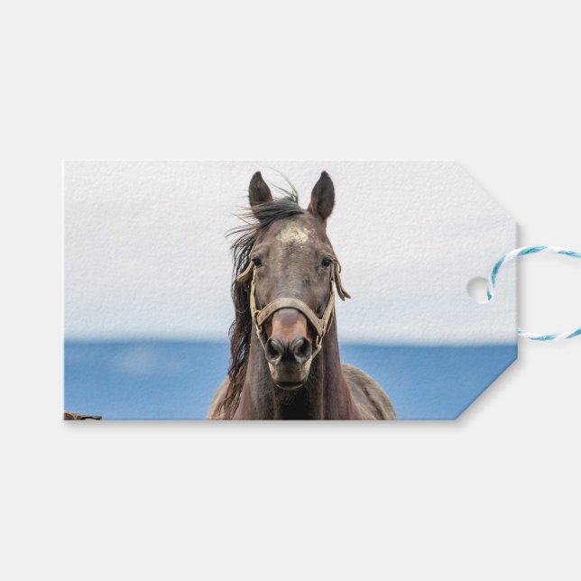 Étiquettes-cadeau Portrait d'un cheval (Devant (Horizontal))