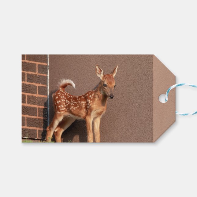 Étiquettes-cadeau Portrait d'un faon (cerf de Virginie) (Devant (Horizontal))