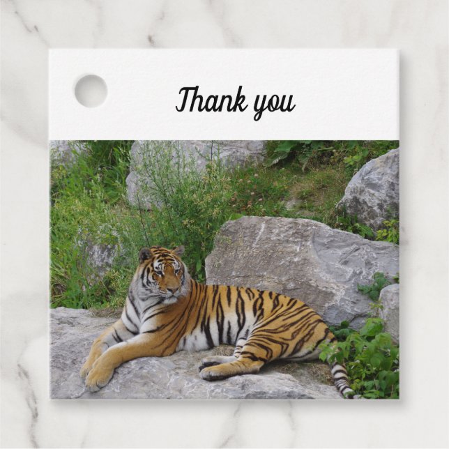 Étiquettes Cadeau Portrait photo d'un tigre de Sibérie (Devant)