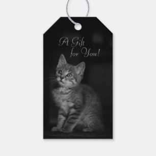 Étiquettes-cadeau Precious Kitten Un cadeau pour vous texte personna