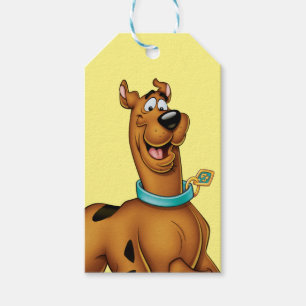 Étiquettes-cadeau Promenade heureuse de Scooby-Doo