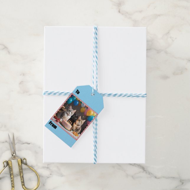 Étiquettes-cadeau Purrfect Celebration : A Cat's Birthday Party, (Avec de laficelle)