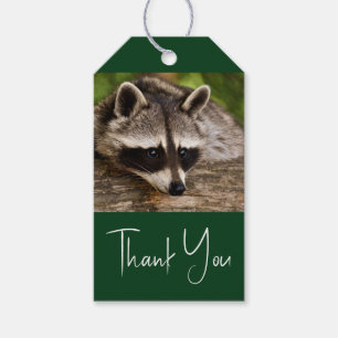 Étiquettes-cadeau Raccoon mignon reposant sur un journal