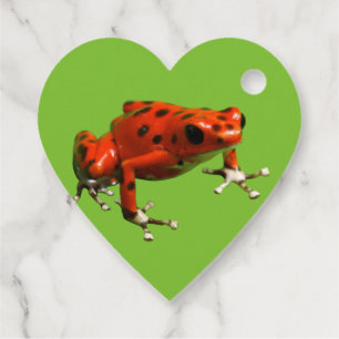 Étiquettes Cadeau Red Poison Dart Frog