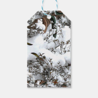 Étiquettes-cadeau Résumé de neige