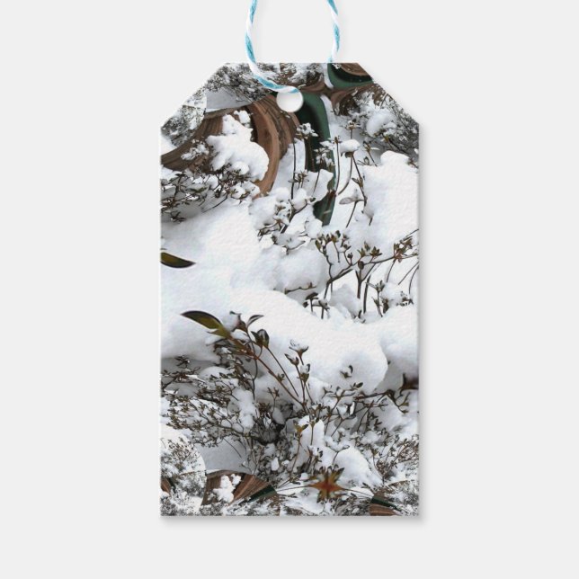 Étiquettes-cadeau Résumé de neige (Devant)
