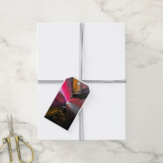 Étiquettes-cadeau Résumé Design Color Zap Balises Cadeau