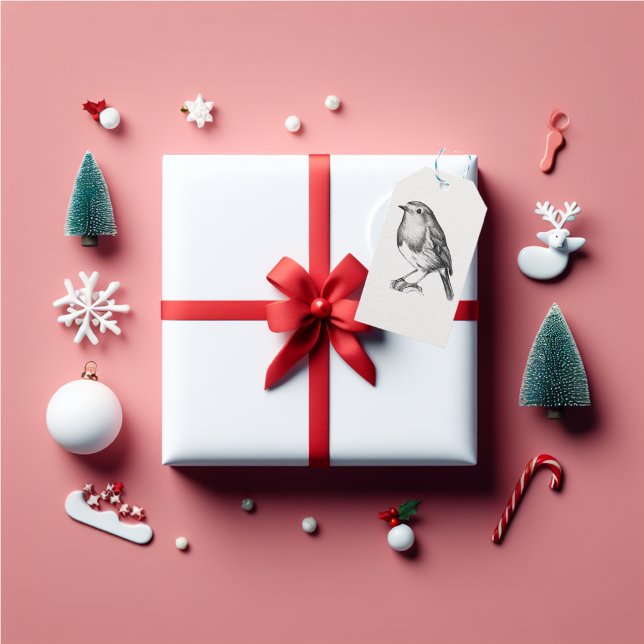 Étiquettes-cadeau Robin de Noël mignon (Christmas cute robin name tag.)
