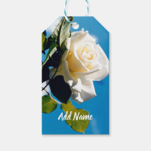 Étiquettes-cadeau Rose blanche Beauté sous ciel bleu