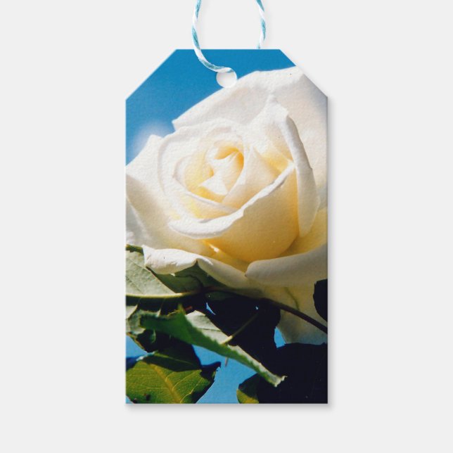Étiquettes-cadeau Rose blanche sous ciel bleu (Devant)